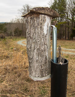 Bluebird nest box made with hollow log