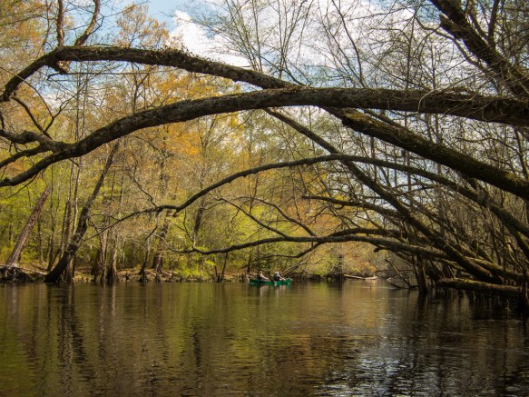 Nearing the end of our paddle.