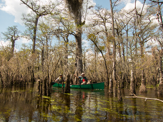 The Jerry's paddle the Three Sisters Swamp.