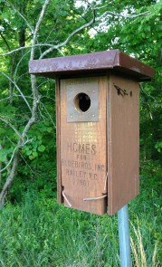 Bluebird houses
