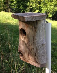 Bluebird houses