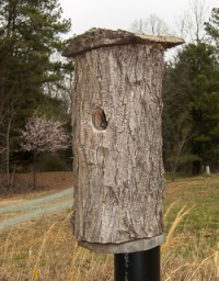 Bluebird nest box made with hollow log