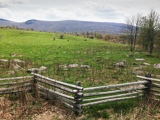 View toward Mt. Rogers from Elk Garden