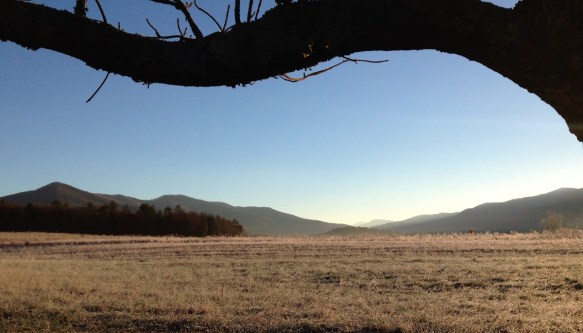 Cades Cove early morning looking down the valley