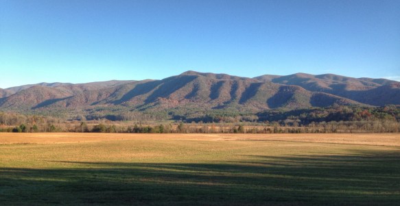 Cades Cove meadows
