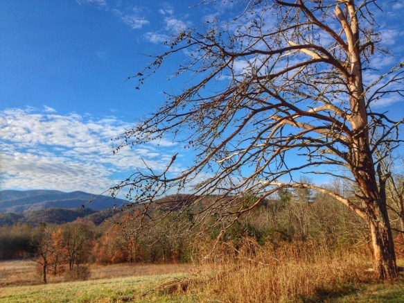 Upper end of Cades Cove