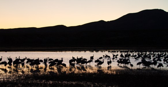 Crane Pond at sunset