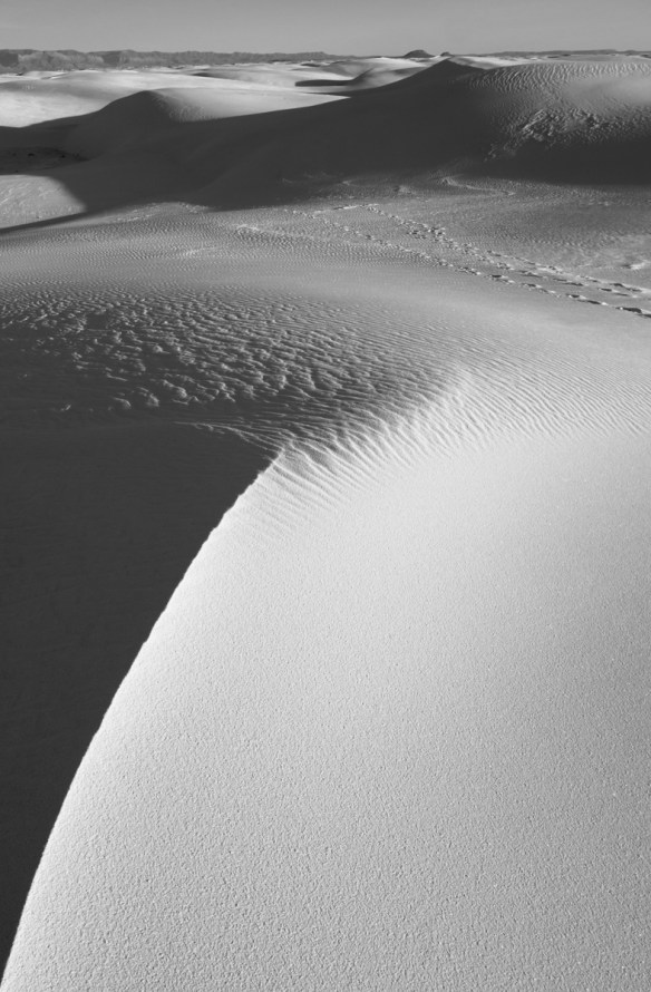 dune crest line