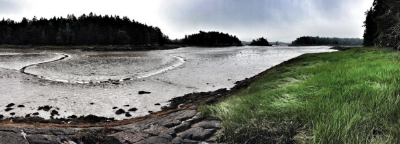 Low tide, Cobscook Bay, Maine