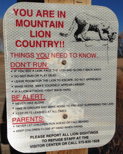 Mountain Lion signage