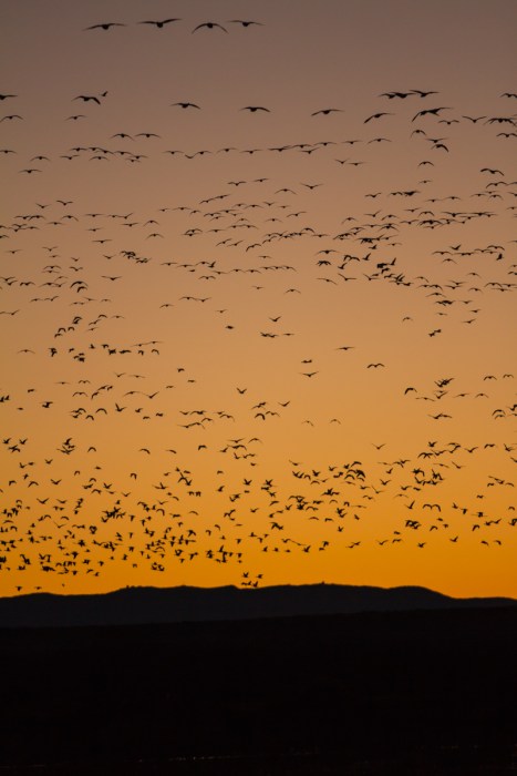 Sunrise at the Flight Deck vertical