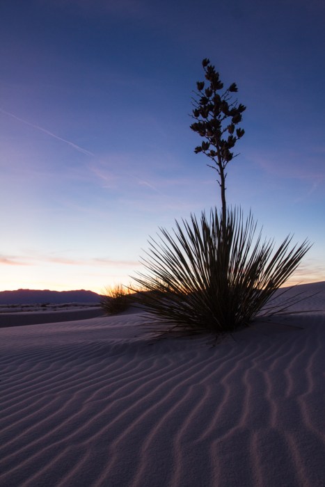 White Sands National Monument 25