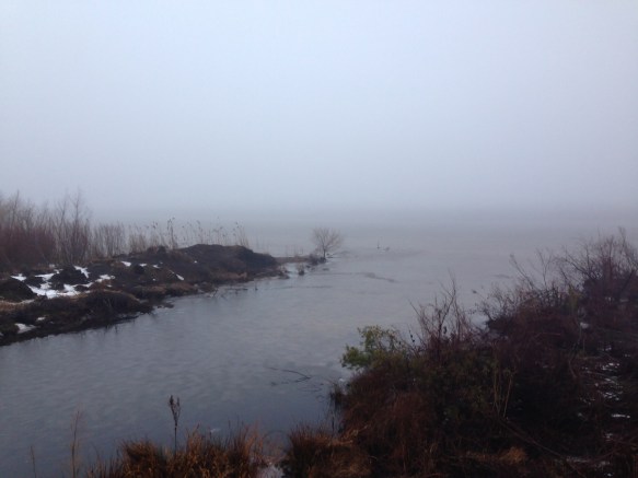 Fog at Pungo Lake