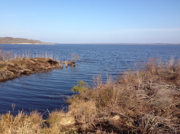 Pungo Lake with no birds