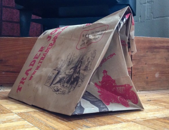 grocery bag with stunned bird in it