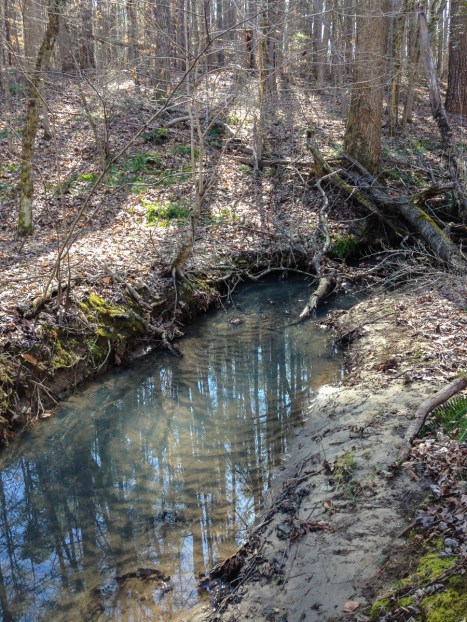 Stream that has sediment