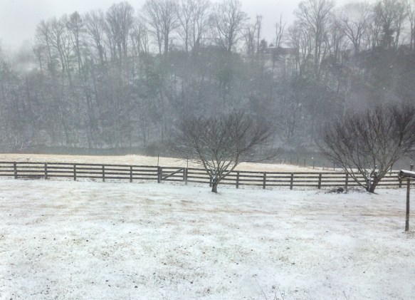 The snow starts to fall