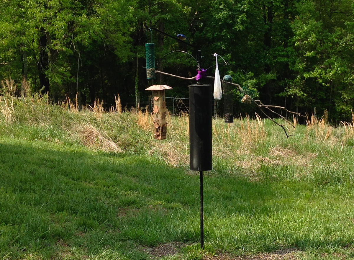 Feeding station near garden