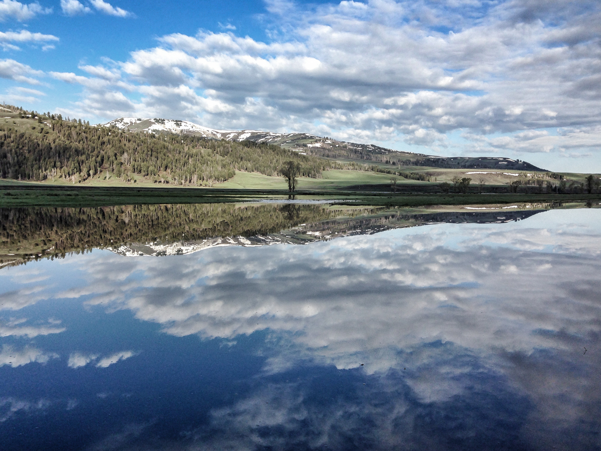 reflections in Lamar in morning