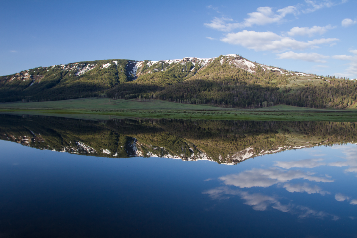 Reflections in Lamar