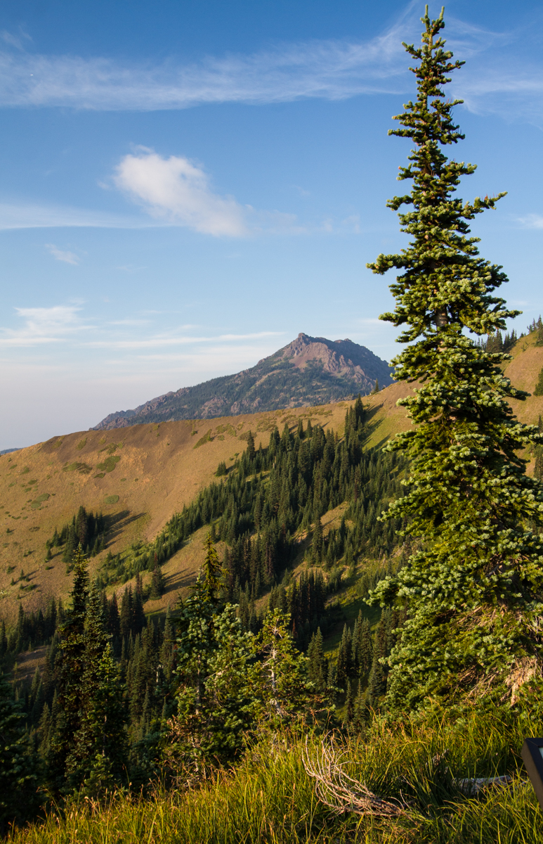 Hurricane Ridge ONP