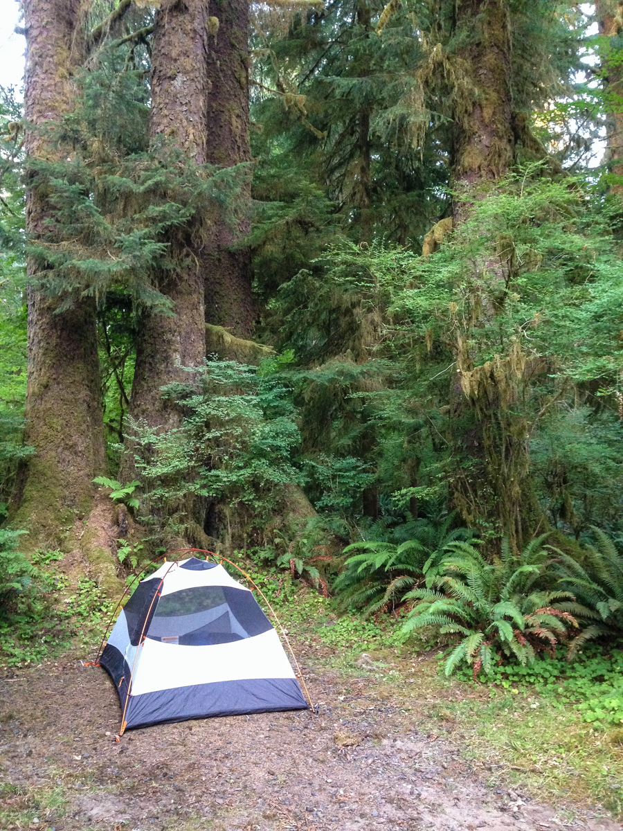 Queets campsite