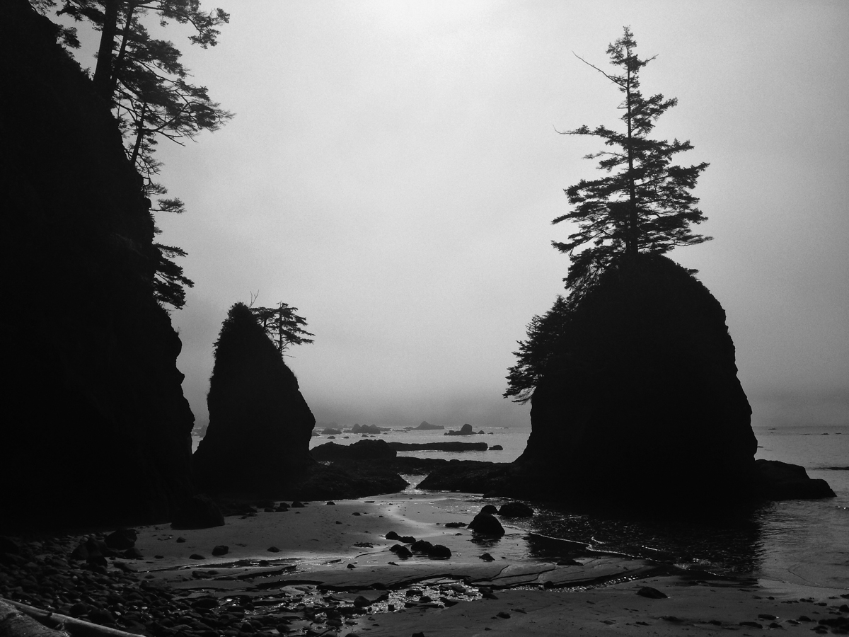 sea stack in cove B and W
