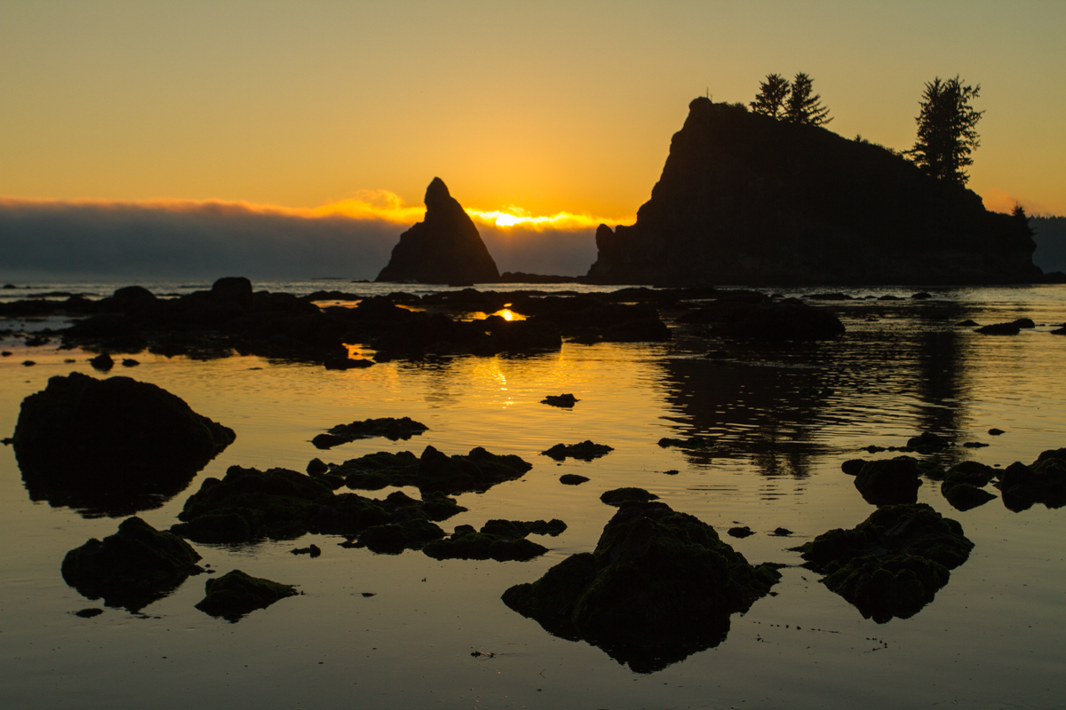Sea stacks at sunset 1
