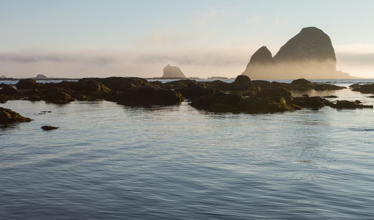 sea stacks in fog