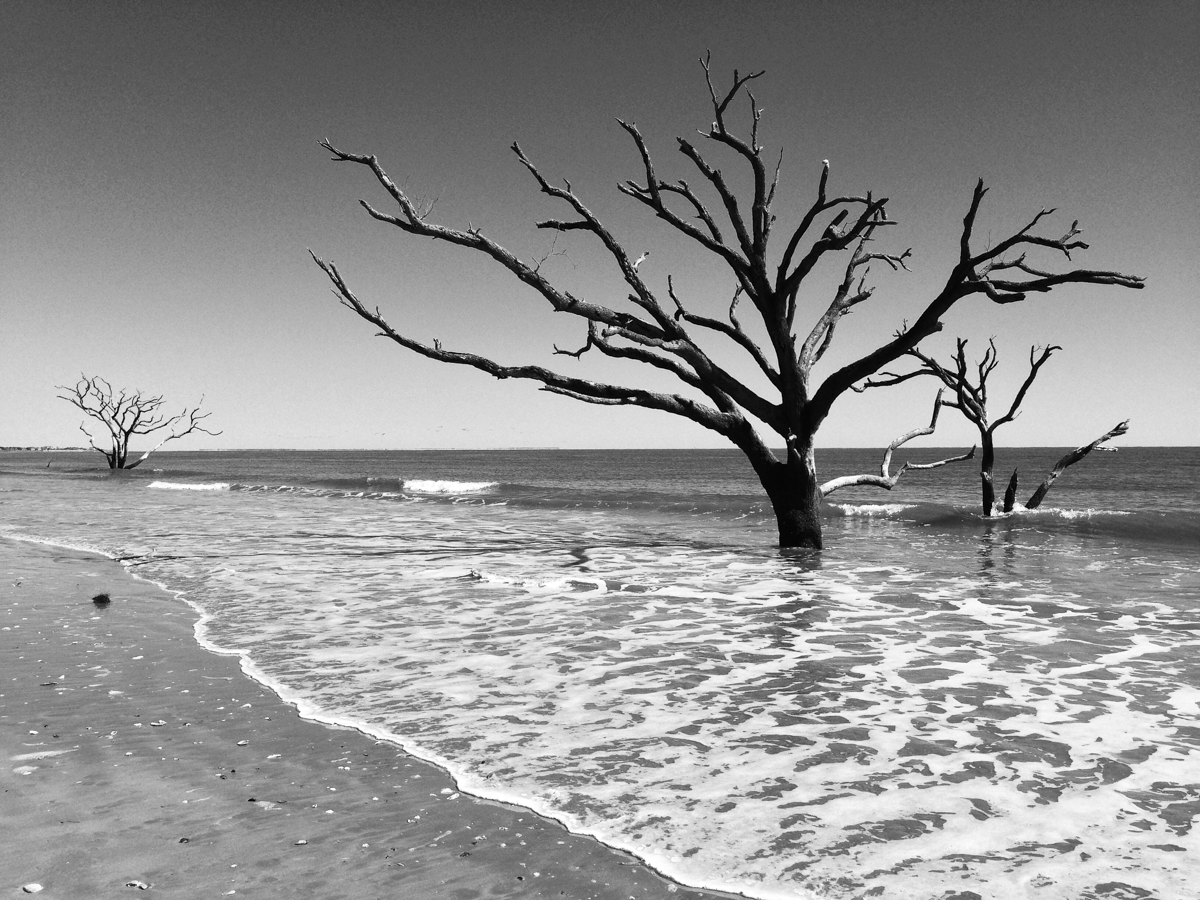 Botany Bay