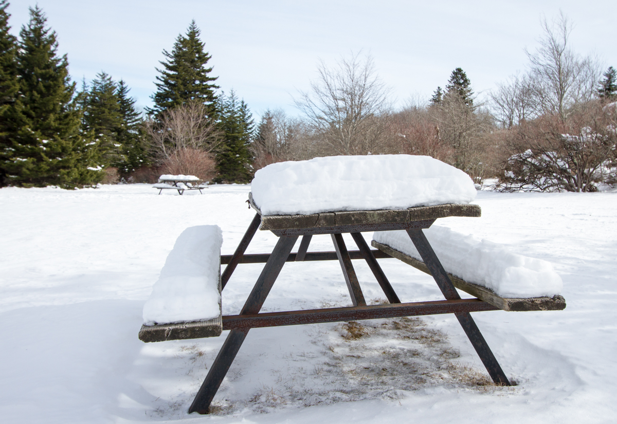 Picnic table with snow