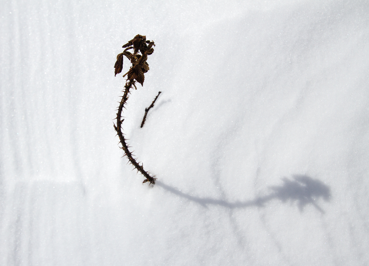 Snow at Massey's Gap 1