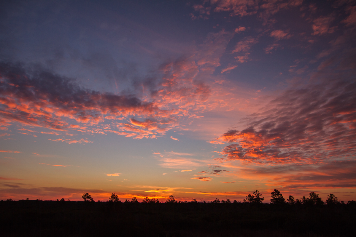 Sunrise at Pungo Lake