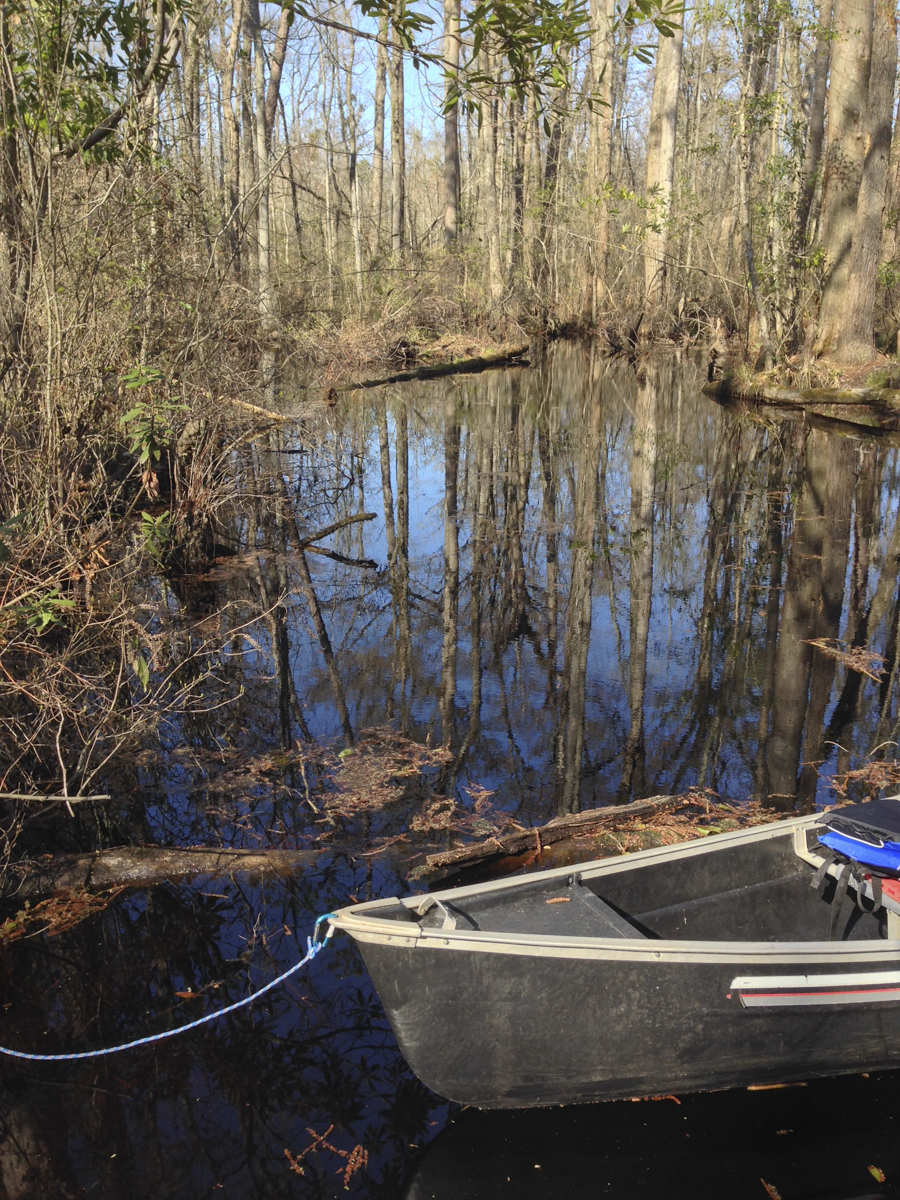 Canoe at camping platform