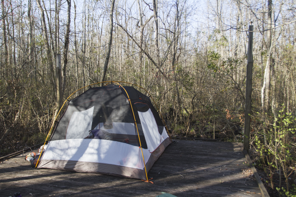 Royal Fern camping platform