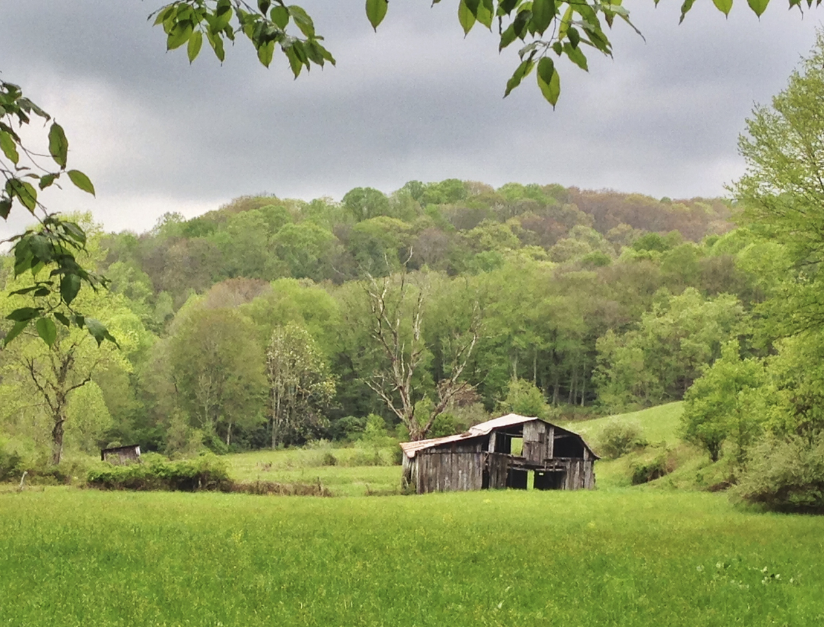 Scene along Creeper Trail