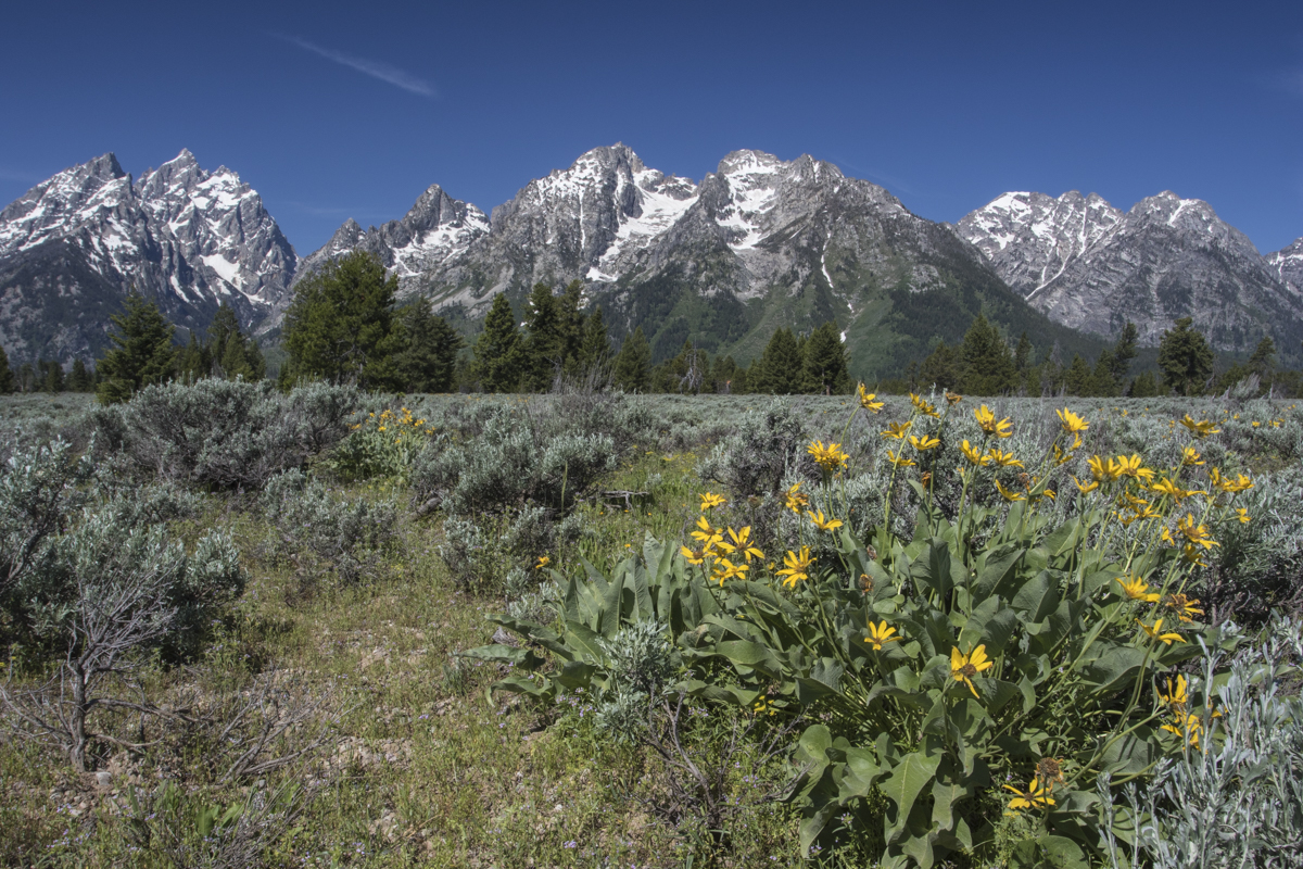 Grand Teton NP