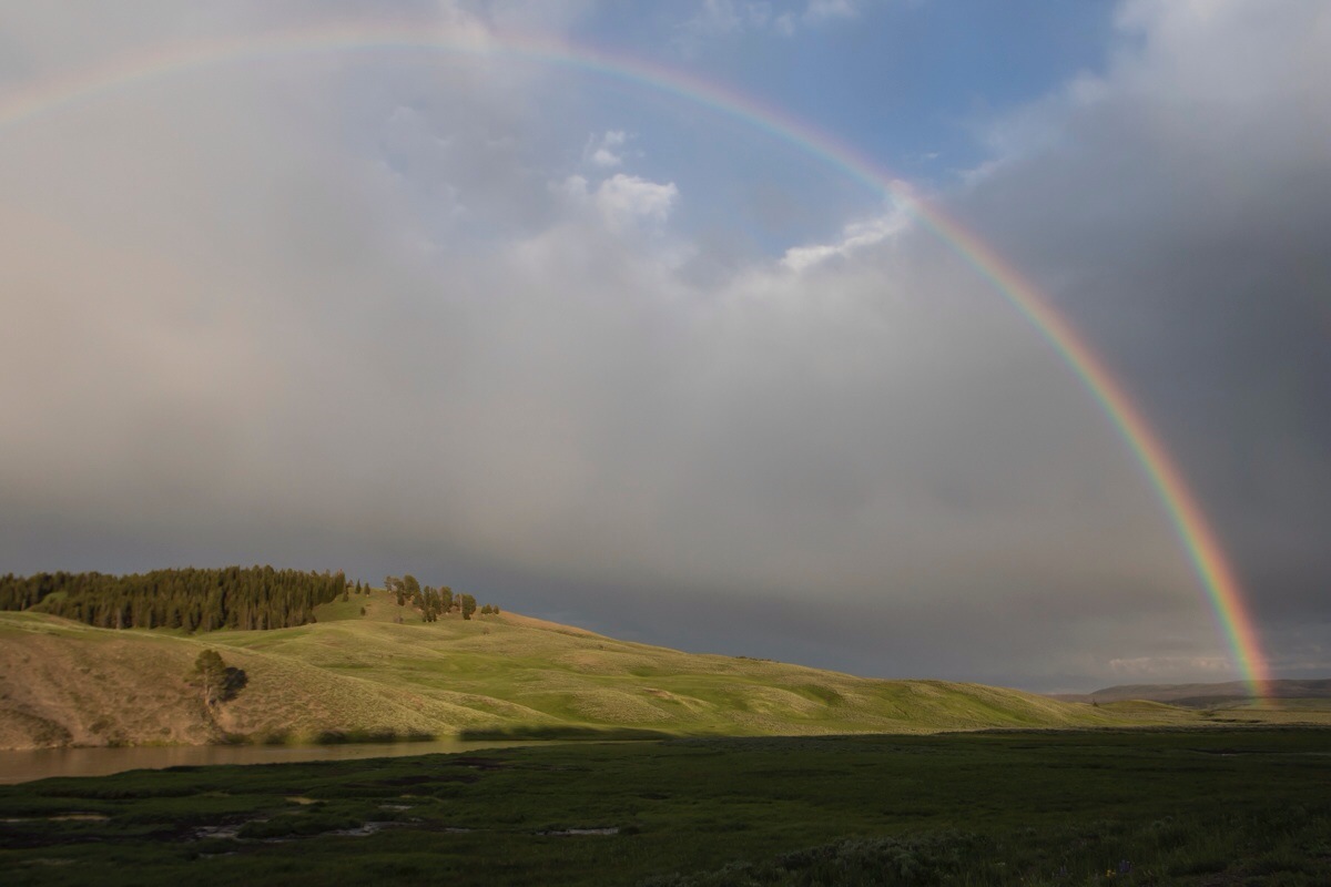 Rainbow in Hayden Valley