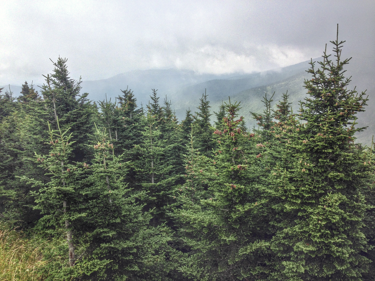 View from the summit