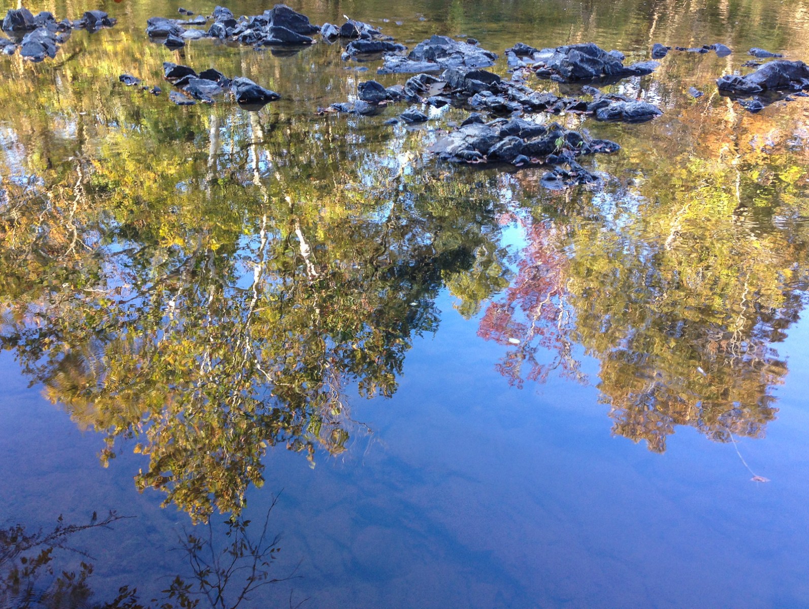Haw River reflections