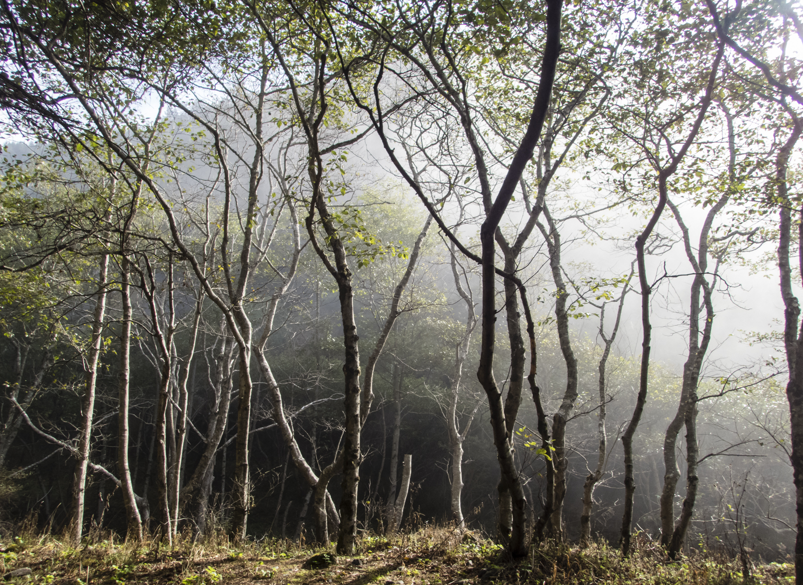 sunrise at campsite LCT 1