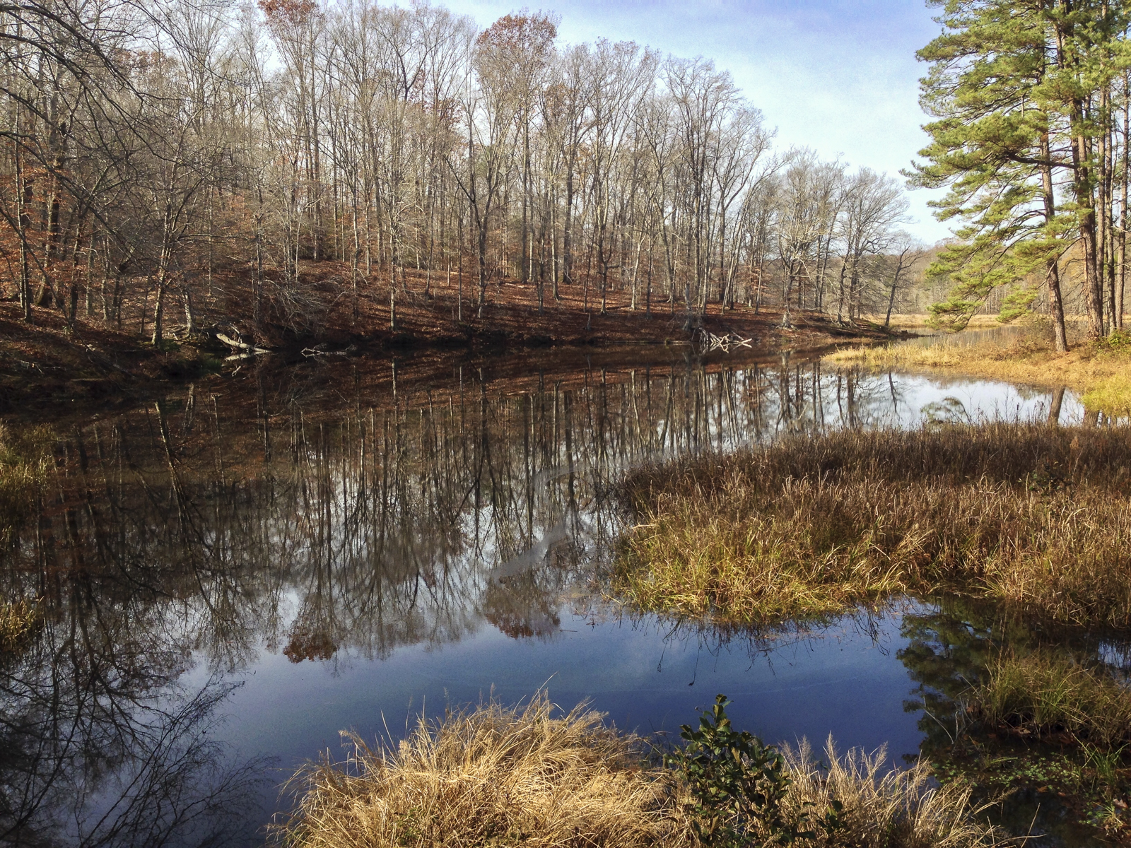 Beaver Lake, Pocahontas State Park, VA