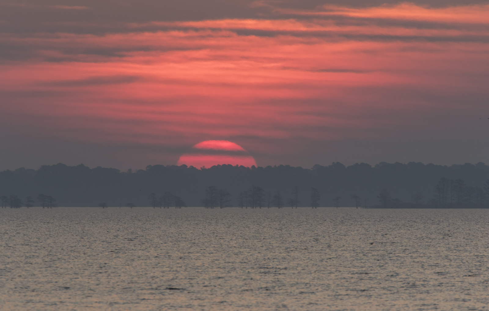 rising sun on lake mattamuskeet