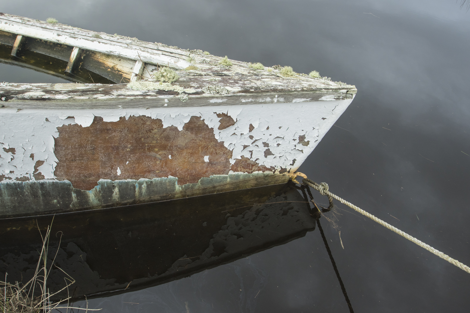 Abandoned boat at Swan Qtr 2