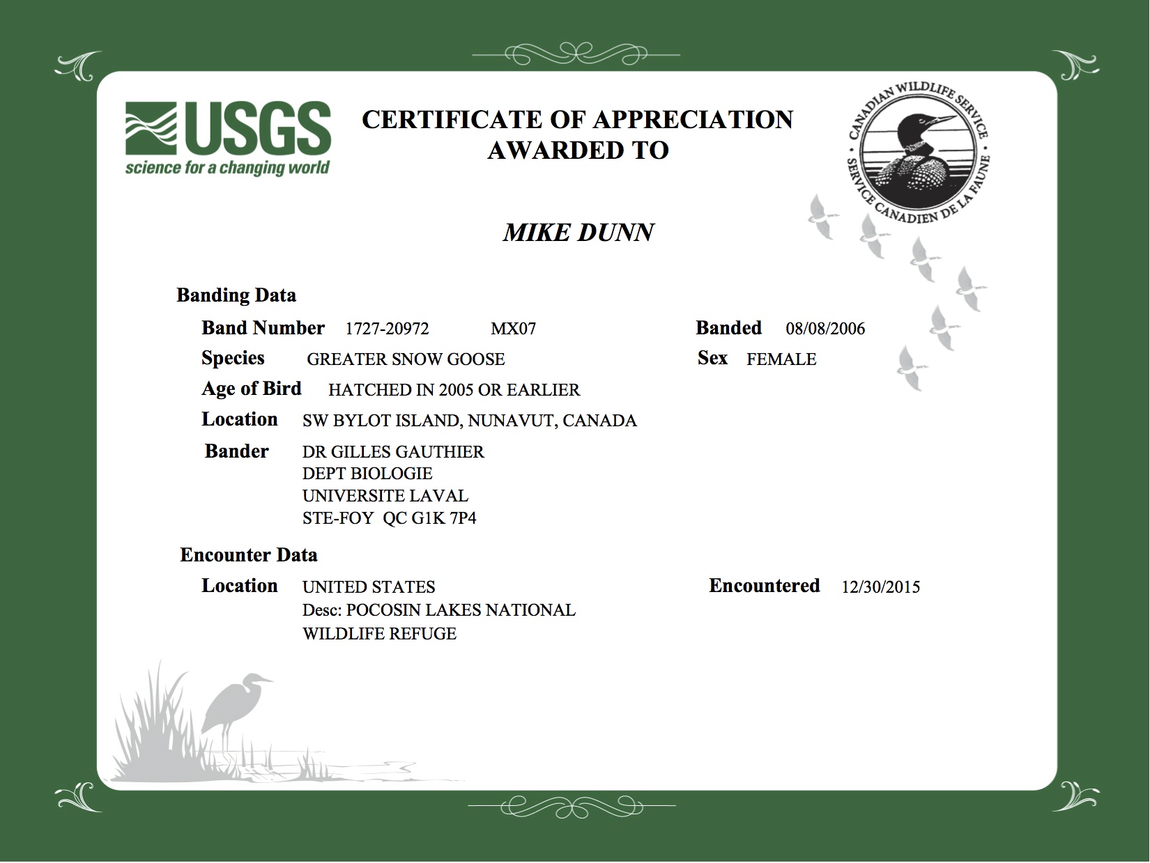 certificate for collar