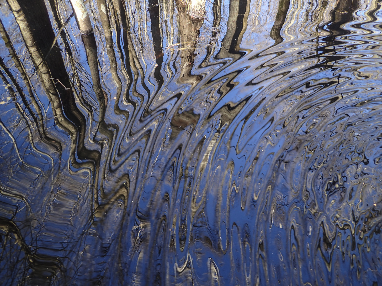 reflections along boardwalk with wave