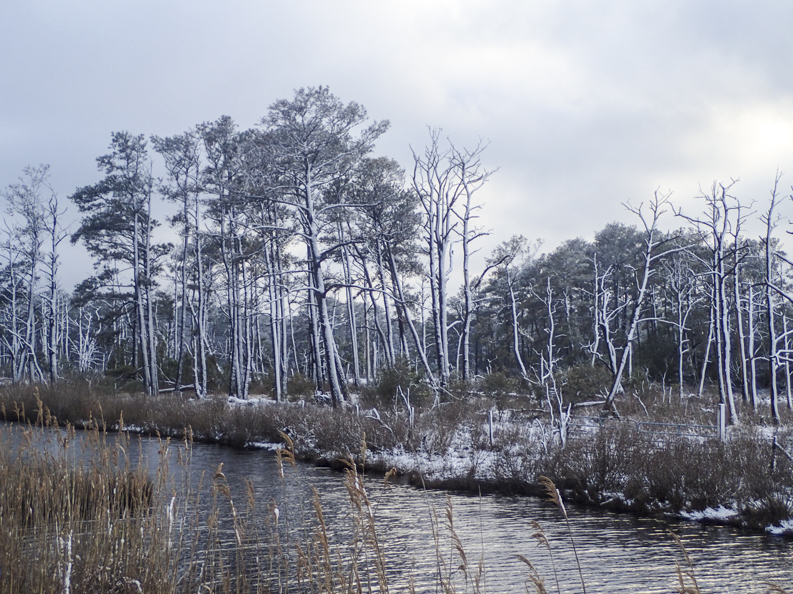 snow the next morning