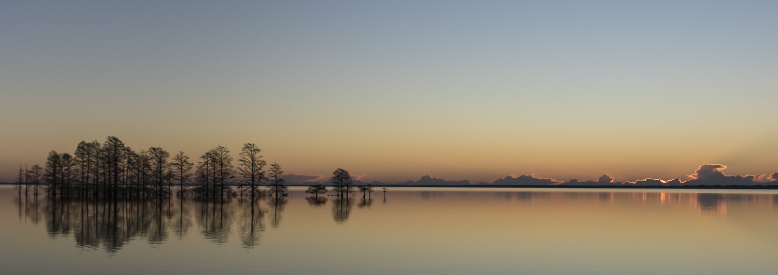 cypress island at sunrise
