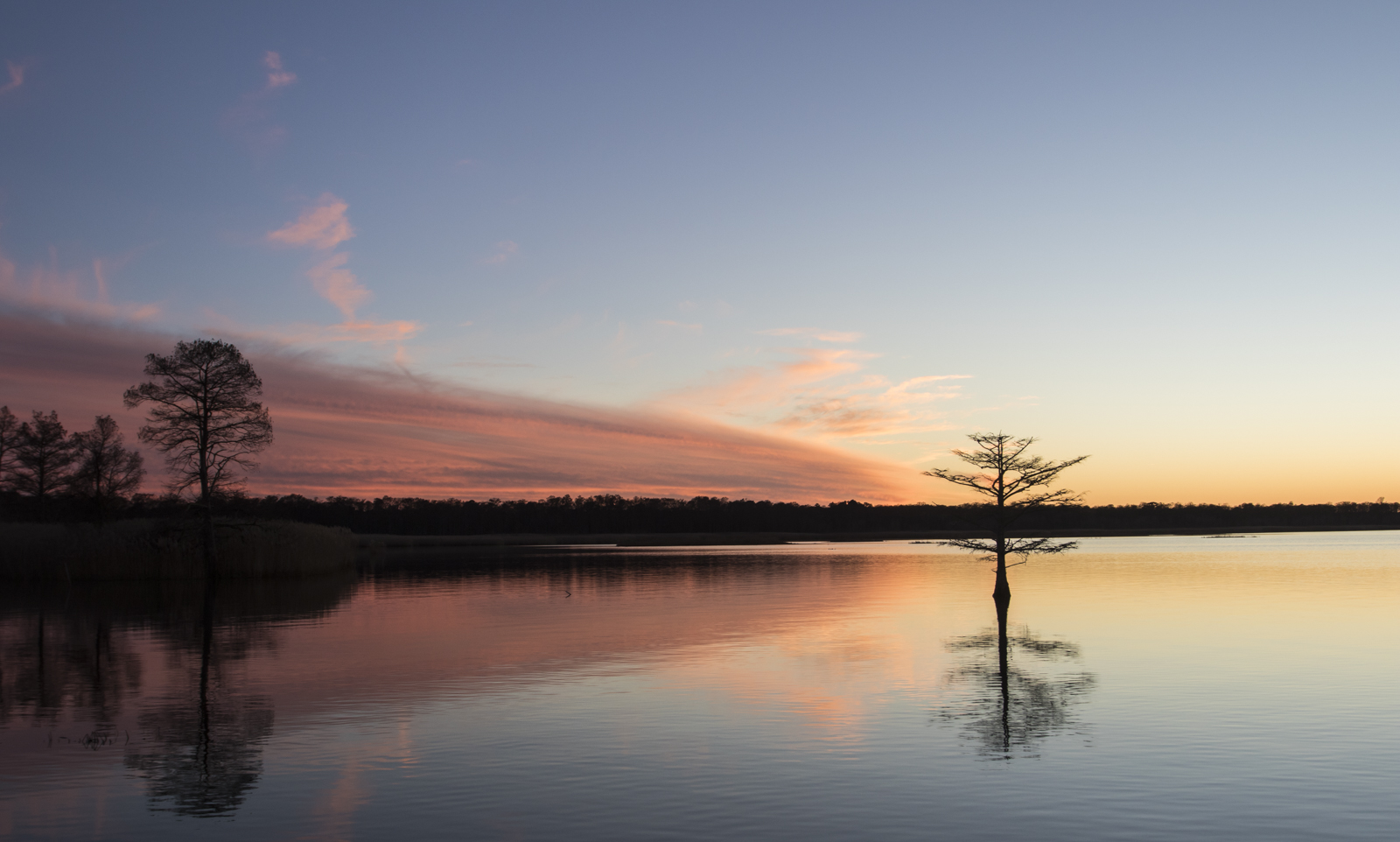 pink cloud at sunset
