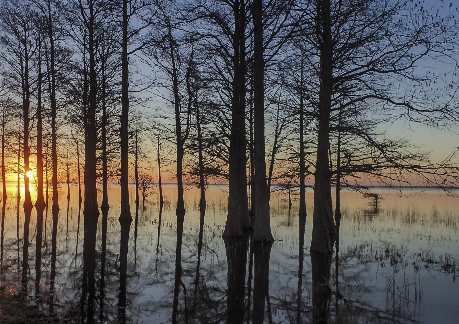 sunrise north shore of mattamuskeet 1